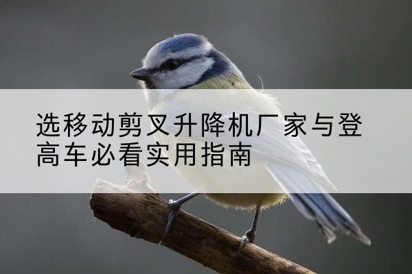 祥云电动升降机厂家-选移动剪叉升降机厂家与登高车必看实用指南