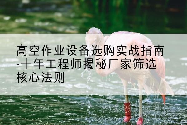 祥云剪叉式升降机厂家-高空作业设备选购实战指南-十年工程师揭秘厂家筛选核心法则