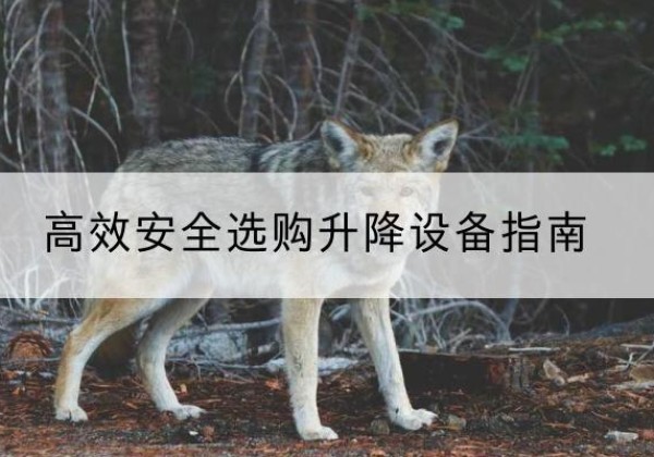 祥云升降货梯厂家推荐-*安全选购升降设备指南