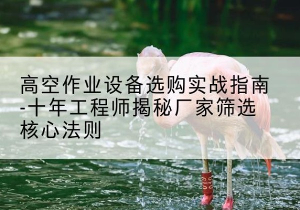 祥云剪叉式升降机厂家-高空作业设备选购实战指南-十年工程师揭秘厂家筛选核心法则